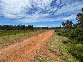  Land for sale in Chile, Valdivia, Valdivia, Los Rios, Chile