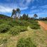  Land for sale in Chile, Valdivia, Valdivia, Los Rios, Chile