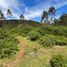  Land for sale in Chile, Valdivia, Valdivia, Los Rios, Chile