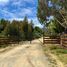  Land for sale in Chile, Valdivia, Valdivia, Los Rios, Chile