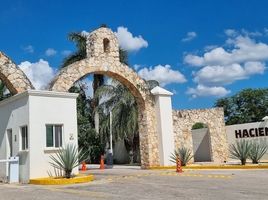  Grundstück zu verkaufen in Conkal, Yucatan, Conkal