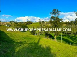  Land for sale in Marinilla, Antioquia, Marinilla