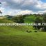  Land for sale in Marinilla, Antioquia, Marinilla