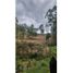  Grundstück zu verkaufen in Rionegro, Antioquia, Rionegro