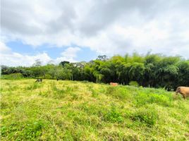  Land for sale in Pereira, Risaralda, Pereira