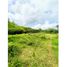  Land for sale in Pereira, Risaralda, Pereira