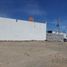  Land for rent in Pesqueria, Nuevo Leon, Pesqueria
