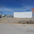  Land for rent in Pesqueria, Nuevo Leon, Pesqueria