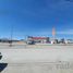  Land for rent in Pesqueria, Nuevo Leon, Pesqueria