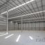 Studio Villa for rent in San Pedro Garza Garcia, Nuevo Leon, San Pedro Garza Garcia