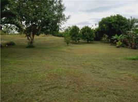  Land for sale in Juan Diaz, Anton, Juan Diaz