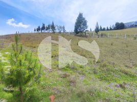  Terreno (Parcela) en venta en Tarqui, Cuenca, Tarqui