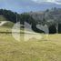  Land for sale in Tarqui, Cuenca, Tarqui