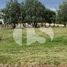  Land for sale in Tarqui, Cuenca, Tarqui