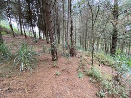  Terreno (Parcela) en venta en Tarqui, Cuenca, Tarqui