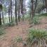  Land for sale in Tarqui, Cuenca, Tarqui