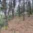  Land for sale in Tarqui, Cuenca, Tarqui