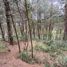  Land for sale in Tarqui, Cuenca, Tarqui