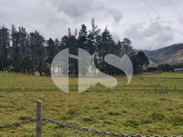  Land for sale in Cumbe, Cuenca, Cumbe