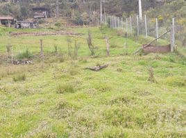  Terreno (Parcela) en venta en Cathedral of the Immaculate Conception, Cuenca, Cuenca, Cuenca