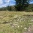  Land for sale in Valle, Cuenca, Valle