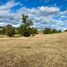  Land for sale in Chile, Osorno, Osorno, Los Lagos, Chile