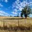  Land for sale in Chile, Osorno, Osorno, Los Lagos, Chile