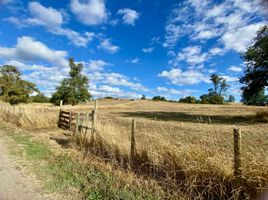  Land for sale in Chile, Osorno, Osorno, Los Lagos, Chile