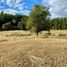  Land for sale in Chile, Osorno, Osorno, Los Lagos, Chile
