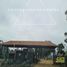  Land for sale in Chile, Nogales, Quillota, Valparaiso, Chile