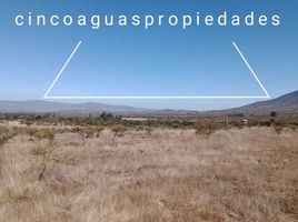  Land for sale in Chile, Nogales, Quillota, Valparaiso, Chile