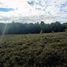  Land for sale in Chile, Puerto Montt, Llanquihue, Los Lagos, Chile