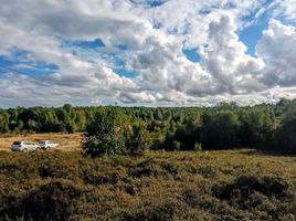  Land for sale in Chile, Puerto Montt, Llanquihue, Los Lagos, Chile