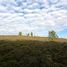  Land for sale in Chile, Puerto Montt, Llanquihue, Los Lagos, Chile