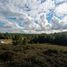  Land for sale in Chile, Puerto Montt, Llanquihue, Los Lagos, Chile