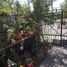 3 chambre Villa for sale in Santiago, Pirque, Cordillera, Santiago