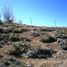  Land for sale in Chile, San Jode De Maipo, Cordillera, Santiago, Chile