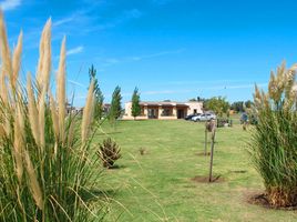  Terrain for sale in Buenos Aires, Esteban Echeverria, Buenos Aires