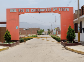  Grundstück zu verkaufen in Comas, Lima, Comas, Lima, Lima, Peru
