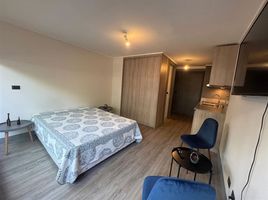 1 Bedroom Apartment for rent in Chile, Santiago, Santiago, Santiago, Chile