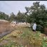  Terreno (Parcela) en venta en Maipo, Santiago, Buin, Maipo