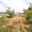  Terreno (Parcela) en venta en Cordillera, Santiago, Pirque, Cordillera