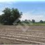  Terreno (Parcela) en venta en Colina, Chacabuco, Colina