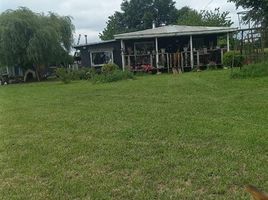  Land for sale in Chile, Temuco, Cautin, Araucania, Chile