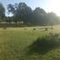  Land for sale in Chile, Temuco, Cautin, Araucania, Chile