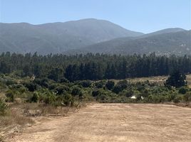  Terreno (Parcela) en venta en Chile, Viña del Mar, Valparaíso, Valparaíso, Chile
