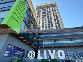 2 Schlafzimmer Wohnung zu vermieten in Monterrey, Nuevo Leon, Monterrey