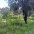  Terreno (Parcela) en venta en San Cristobal De Las Casas, Chiapas, San Cristobal De Las Casas, Chiapas