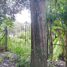  Terreno (Parcela) en venta en San Cristobal De Las Casas, Chiapas, San Cristobal De Las Casas, Chiapas