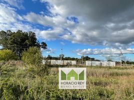  Land for sale in Monte, Buenos Aires, Monte